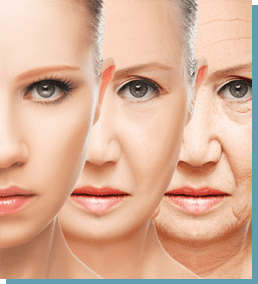 OysterMax oyster extract powder to help prevent skin aging